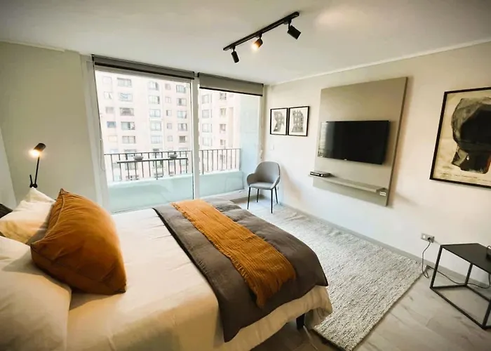 Hom Acogedor Studio En Calle Carmen Santiago Centro