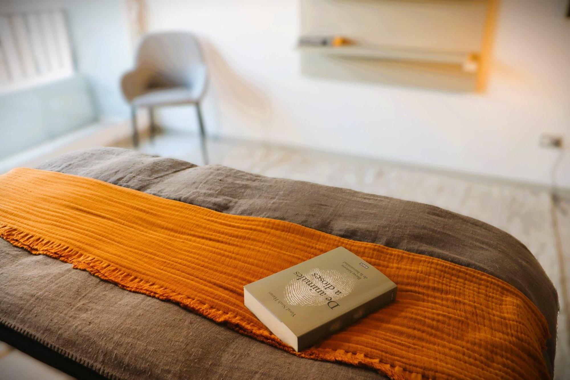 Apartamento Hom Acogedor En Calle Carmen Centro Santiago de Chile
